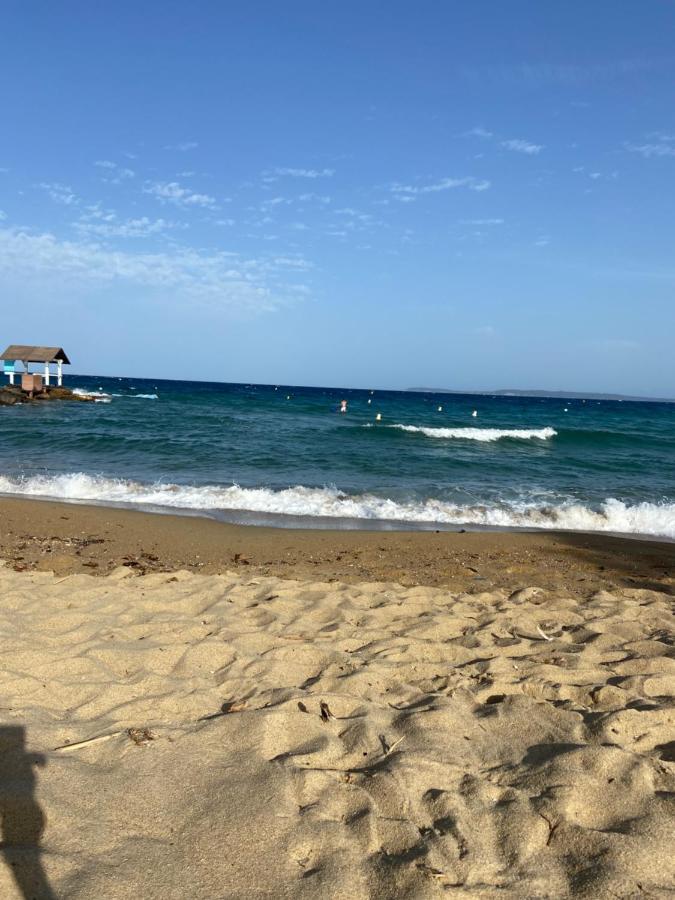 Coteplage Le Lavandou Eksteriør billede